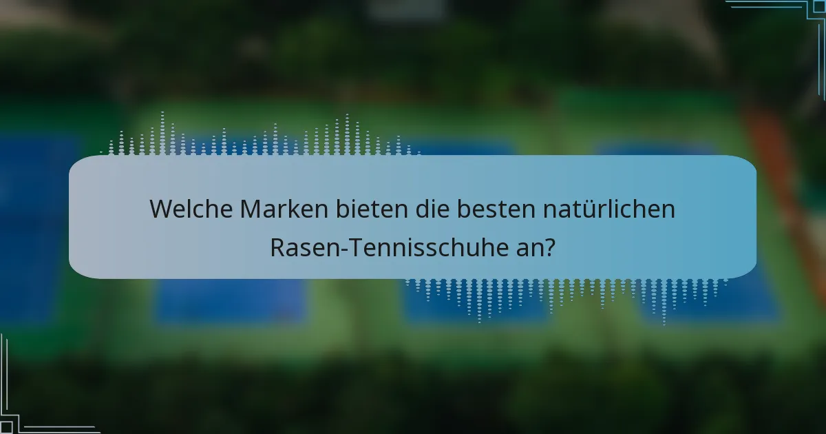 Welche Marken bieten die besten natürlichen Rasen-Tennisschuhe an?