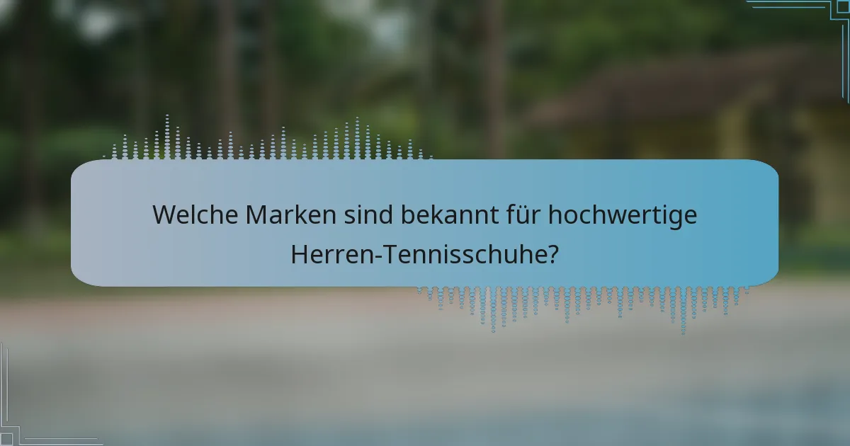 Welche Marken sind bekannt für hochwertige Herren-Tennisschuhe?